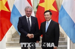 Việt Nam - Luxembourg xác định các lĩnh vực hợp tác trong giai đoạn mới