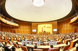 Quốc hội chưa xem xét dự án luật về đặc khu tại Kỳ họp thứ 6