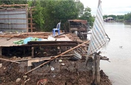 Sạt lở đất ven sông làm sụp 6 nhà dân ở Cà Mau