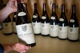Giá ngất trời cho những chai vang thượng hạng vùng Burgundy 