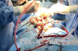 Chuyển giao kỹ thuật phẫu thuật tim cho Bệnh viện đa khoa Trung ương Cần Thơ 