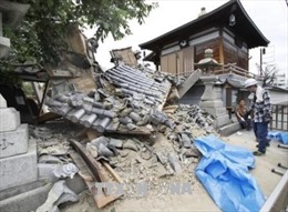 Chưa có thông tin người Việt Nam thương vong trong động đất Nhật Bản