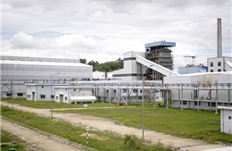 Nhà máy Nhiên liệu sinh học Dung Quất: Sẵn sàng cho giờ G