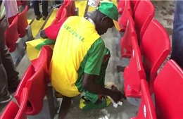 Ấn tượng World Cup 2018: CĐV Senegal và Nhật Bản ăn mừng chiến thắng bằng cách dọn vệ sinh sân vận động