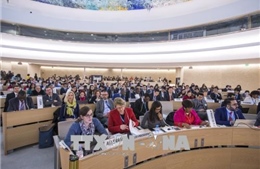 Liên hợp quốc xem xét thay thế vị trí của Mỹ tại Hội đồng Nhân quyền