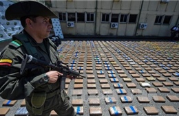 Colombia tịch thu hàng chục tấn hóa chất điều chế ma túy 