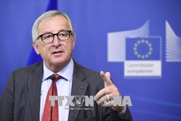 EU chỉ trích các biện pháp áp thuế của Mỹ