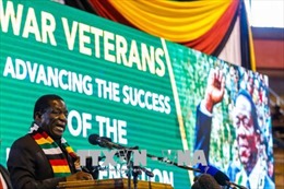 Liên minh châu Phi triển khai phái bộ hỗ trợ bầu cử ở Zimbabwe 