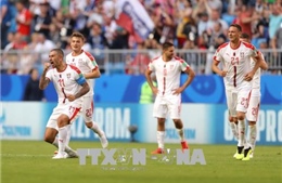 World Cup 2018: Bảng E -  Serbia tràn đầy cơ hội đi tiếp 