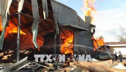 Cháy lớn kho gỗ ở Quảng Bình, thiệt hại hàng chục tỷ đồng