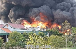Cháy Công ty cổ phần Thông Quảng Ninh gây thiệt hại hơn 10 tỷ đồng