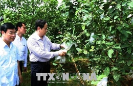 Đoàn công tác của Ủy ban Trung ương MTTQ Việt Nam thăm và làm việc tại tỉnh Phú Thọ