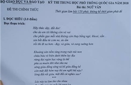Thơ Nguyễn Duy vào đề thi môn Ngữ văn chính thức kỳ thi THPT quốc gia 2018 