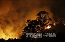 Hàng nghìn người Mỹ phải sơ tán do cháy rừng ở bang California