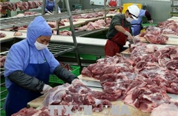 Việt Nam xuất khẩu lô thịt lợn đầu tiên sang Myanmar 