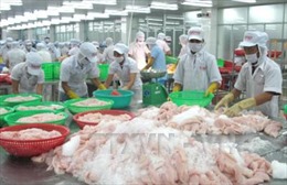 Báo Mỹ kêu gọi chính quyền công nhận nền kinh tế thị trường của Việt Nam