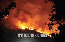 Mỹ: Cháy rừng dữ dội đe dọa nhấn chìm hàng trăm ngôi nhà trong biển lửa