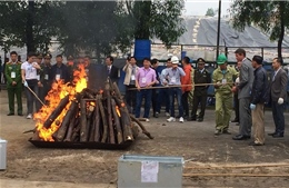 Doanh nghiệp cam kết không buôn bán, sử dụng trái phép động thực vật hoang dã