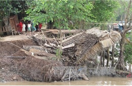 Sóc Trăng: Sạt lở ven sông Hậu nhấn chìm nhà dân 