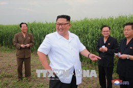Nhà lãnh đạo Triều Tiên thị sát khu vực giáp giới Trung Quốc 