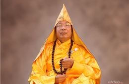 Hòa thượng Thích Đức Phương, Phó Pháp chủ Hội đồng Chứng minh Giáo hội Phật giáo Việt Nam viên tịch 