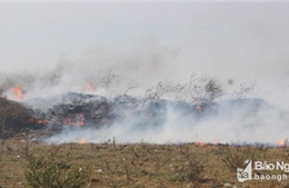 Cháy dữ dội tại bãi rác xã Hưng Đông, thành phố Vinh 