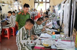 Trại giam Ninh Khánh thực hiện công tác tha tù trước thời hạn 