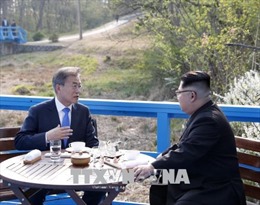 Hàn Quốc và Triều Tiên nhất trí hợp tác bảo vệ rừng