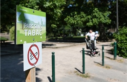 Strasbourg, thành phố Pháp đầu tiên cấm hút thuốc lá trong công viên
