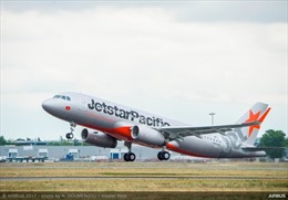 Chim va khiến máy bay Jetstar Pacific phải ở lại sân bay Đồng Hới 