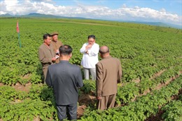 Đằng sau chuyến thăm nông trang gần biên giới Trung Quốc của nhà lãnh đạo Triều Tiên