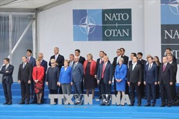 Khai mạc Hội nghị thượng đỉnh NATO 