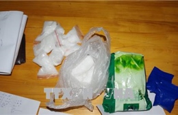 Triệt phá đường dây vận chuyển 25 kg ma túy đá