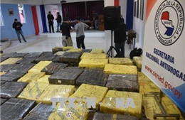 Paraguay tịch thu gần 170 tấn cần sa tại khu vực biên giới với Brazil