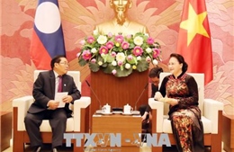 Chủ tịch Quốc hội Nguyễn Thị Kim Ngân tiếp Phó Chủ tịch Quốc hội Lào 
