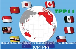 Việt Nam cùng các nước thúc đẩy CPTPP sớm có hiệu lực 