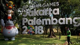 Indonesia nỗ lực phòng chống cháy rừng trong thời gian Đại hội thể thao