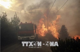 Hy Lạp công bố 3 ngày quốc tang các nạn nhân cháy rừng