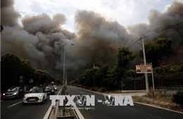 Số người thiệt mạng tiếp tục tăng do cháy rừng ở Hy Lạp