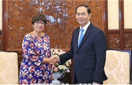 Chủ tịch nước Trần Đại Quang tiếp Đại sứ Vương quốc Bỉ Jehanne Roccas 