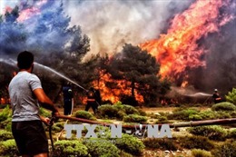 Các vụ cháy rừng gần Athens có thể là hành động phá hoại có chủ ý