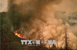 California ban bố tình trạng khẩn cấp do cháy rừng lan rộng