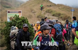 Indonesia giải cứu hàng trăm người mắc kẹt trên núi sau động đất 
