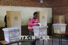 Công bố kết quả chính thức cuộc bầu cử Zimbabwe 