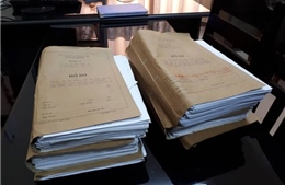 Yêu cầu xử lý nghiêm 569 hồ sơ thương binh giả tại Nghệ An