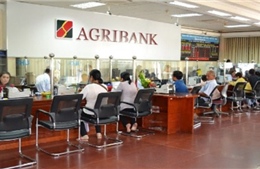 Agribank đồng hành phát triển cùng đất nước