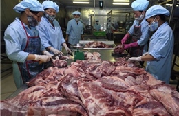 Thịt lợn mát sẽ thay thế dần thịt lợn tươi sống