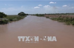 Mực nước dâng nhanh, vùng trũng Đồng bằng sông Cửu Long đối mặt nguy cơ ngập lụt