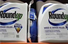 Chờ phán quyết của tòa án Mỹ về chất diệt cỏ của Monsanto có thể gây gây ung thư