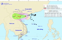 Hà Nội chủ động ứng phó với mưa đặc biệt lớn 